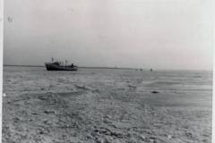 1962_0006