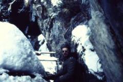 My beautiful picture