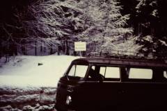 My beautiful picture