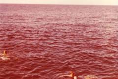 1975_0027