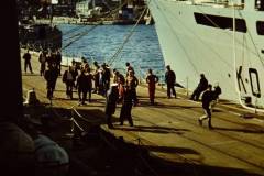 My beautiful picture