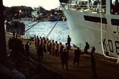 My beautiful picture