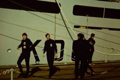 My beautiful picture